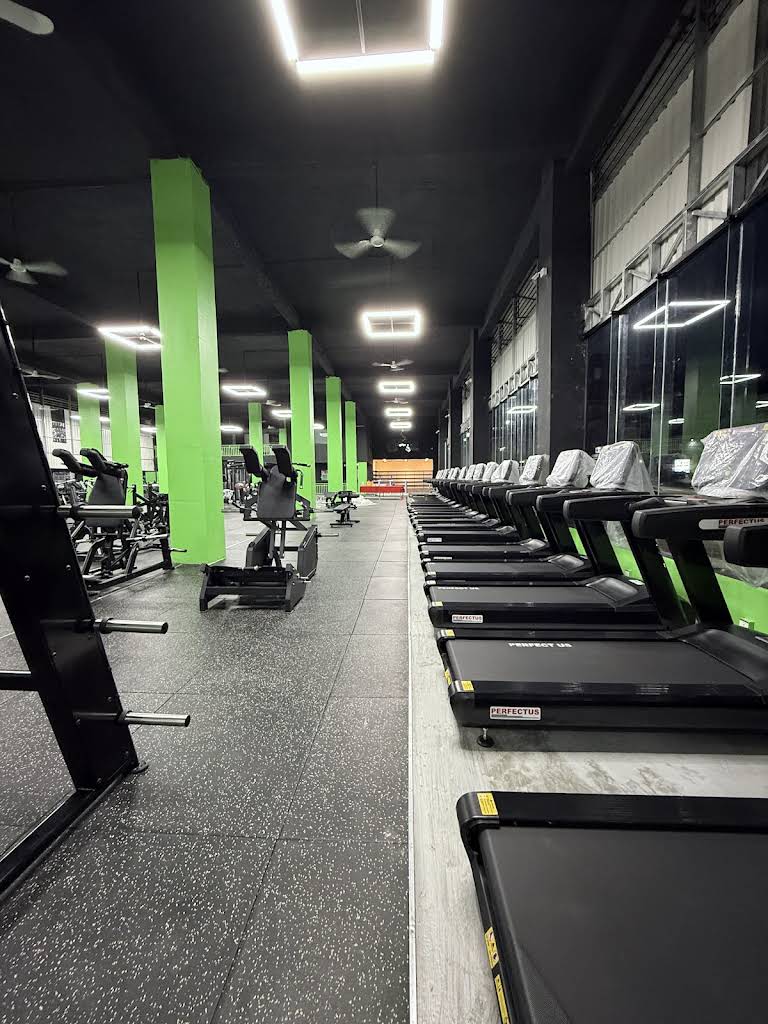 BMG Big Muscle Gym II