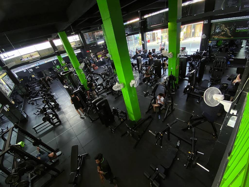 BMG Big Muscle Gym l