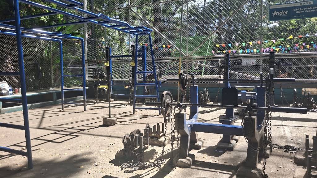 Gimnasio Libre