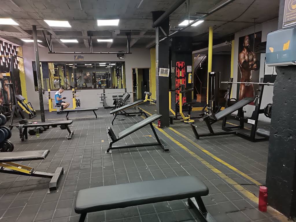 Gimnasio survivor gym