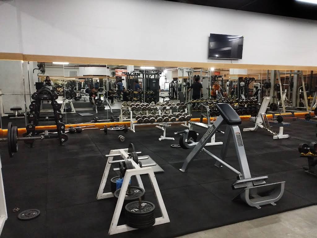 SOSI Sport Club 1 Baltos