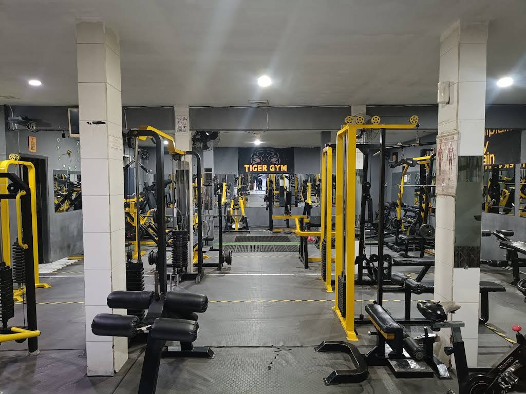 Tiger Gym