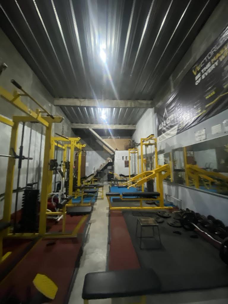 Alfa Gym
