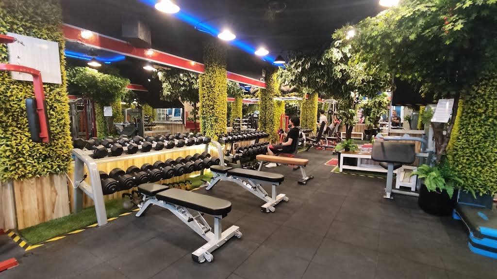 King kong Gym