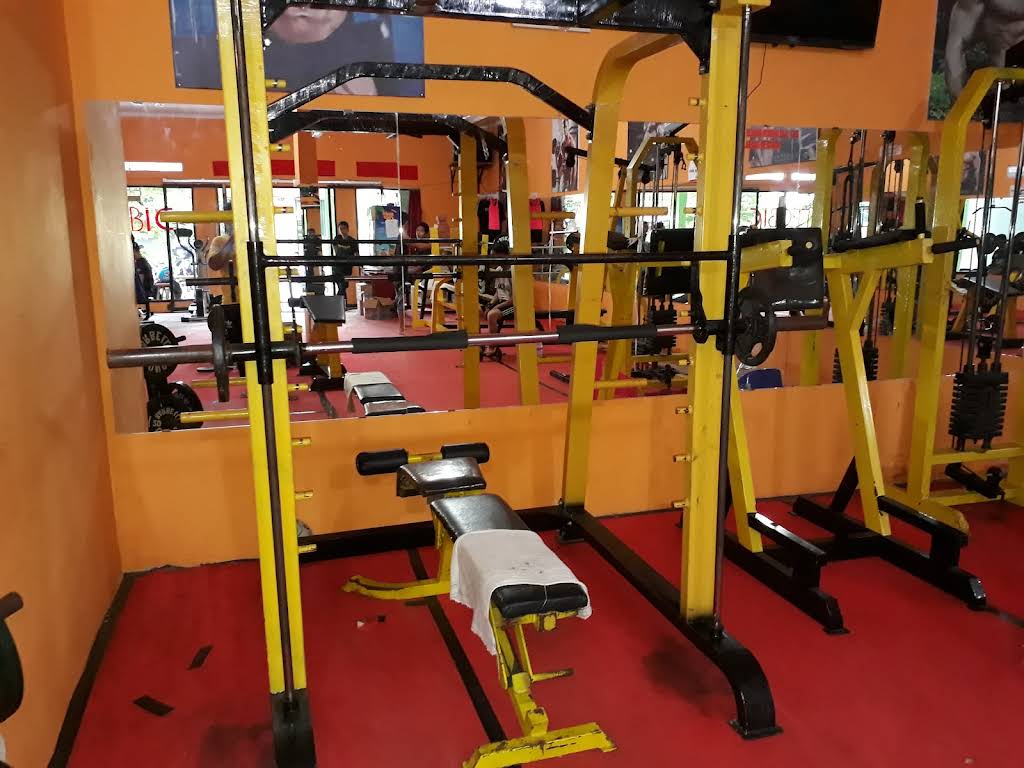 Predator Gym