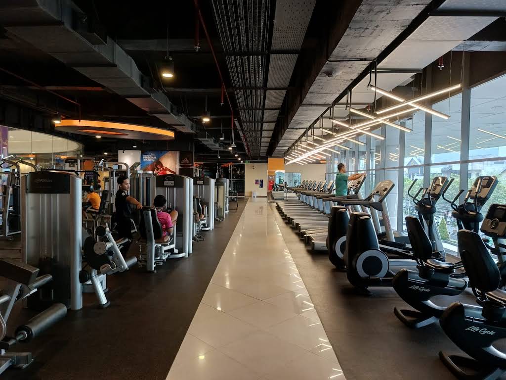 Celebrity Fitness