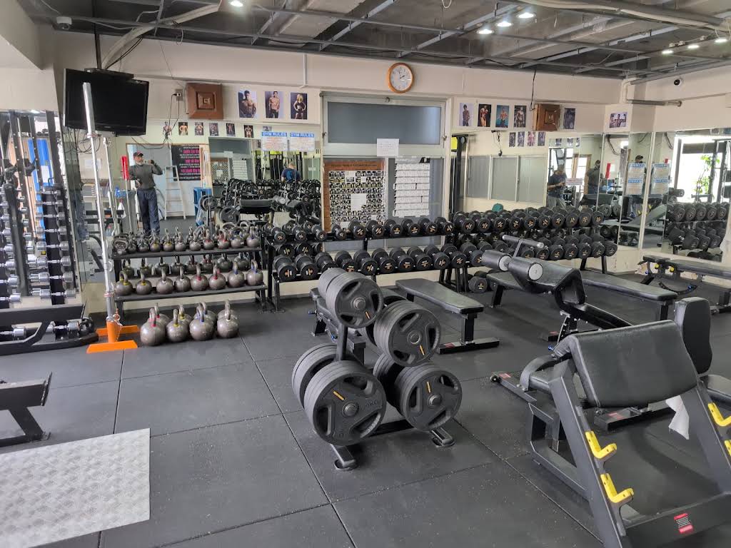 Universal fitness gym