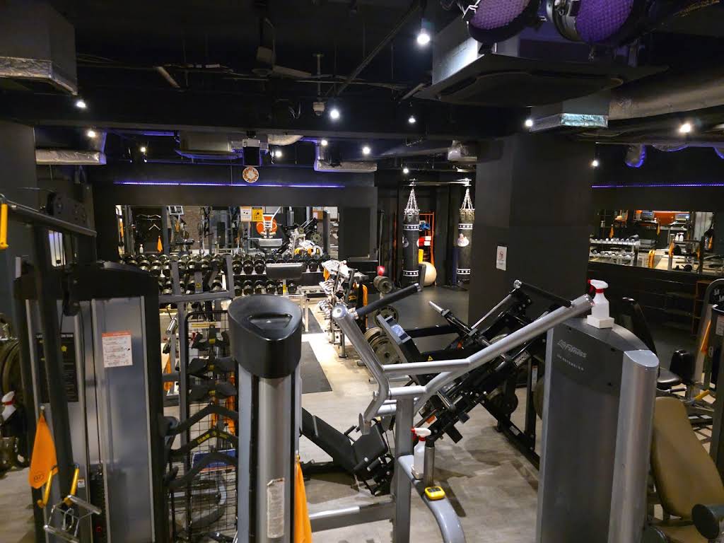 Orange Gym Rats by 4GS