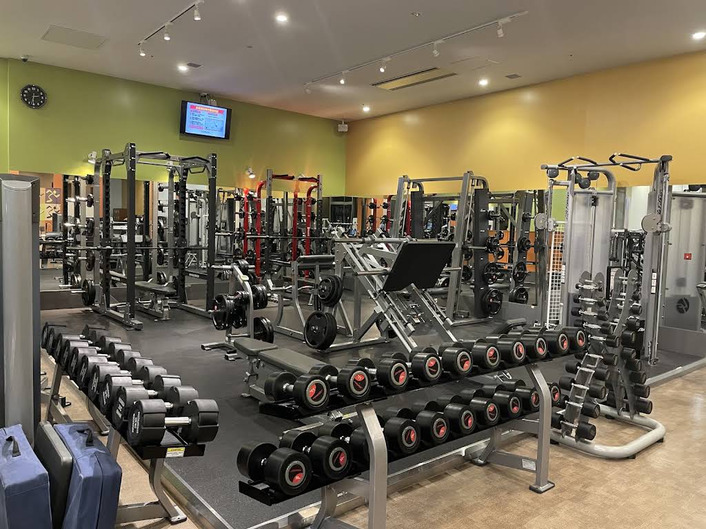 Fitness club Anytime Fitness Minato Mirai shop