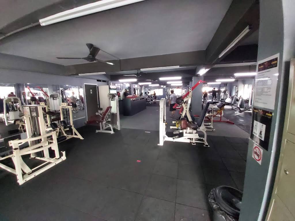 THE STRUGGLE LAB GYM