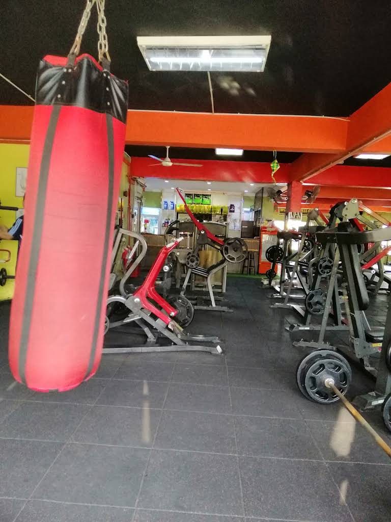 World Fitness Gym