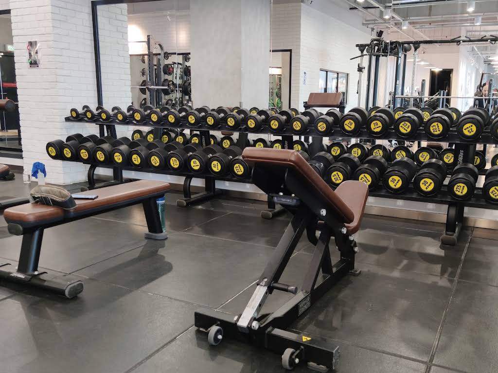 LifenFitness Seventeen