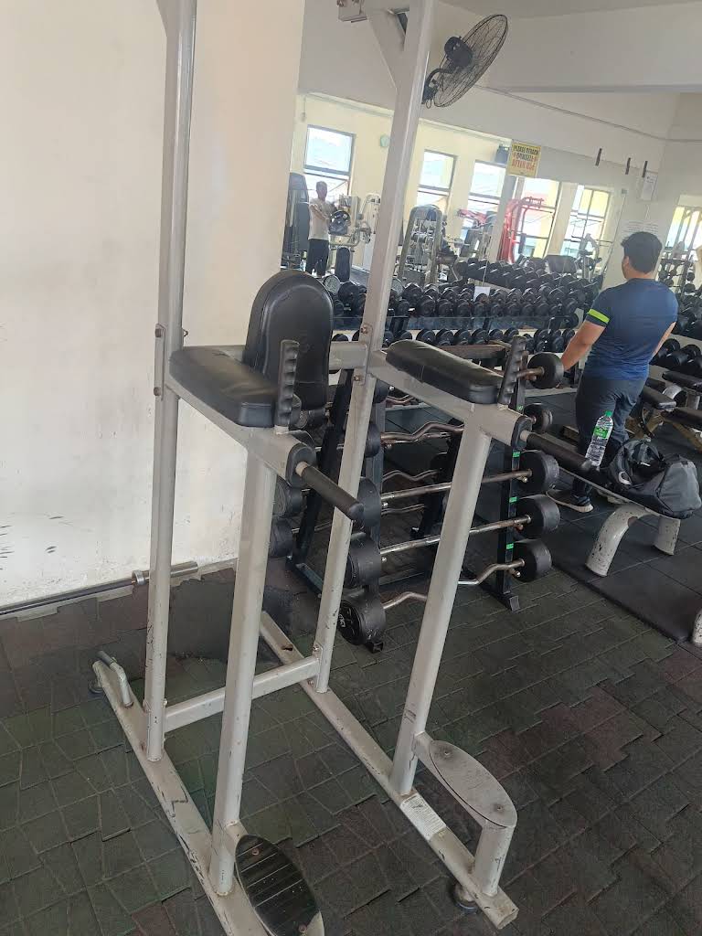 Maharia A One Pro Fitness