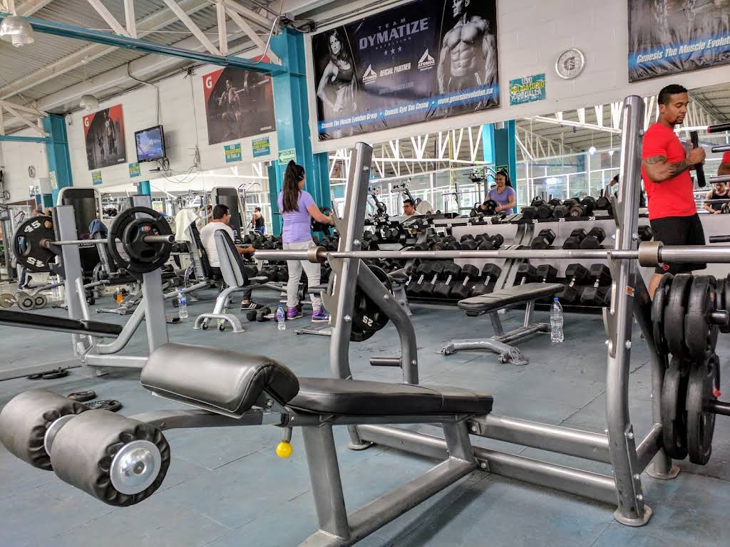 Génesis Gym