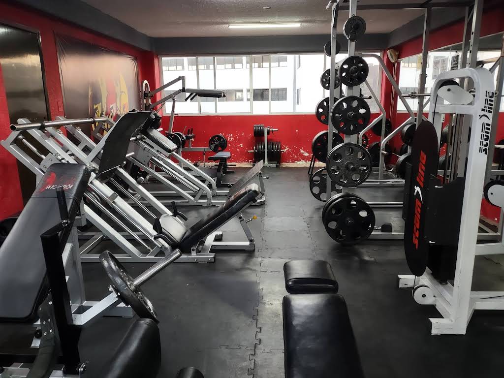 GYM 300´s en formación