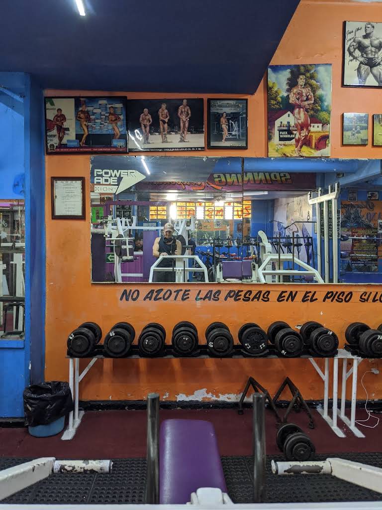 Gym Metropolitano