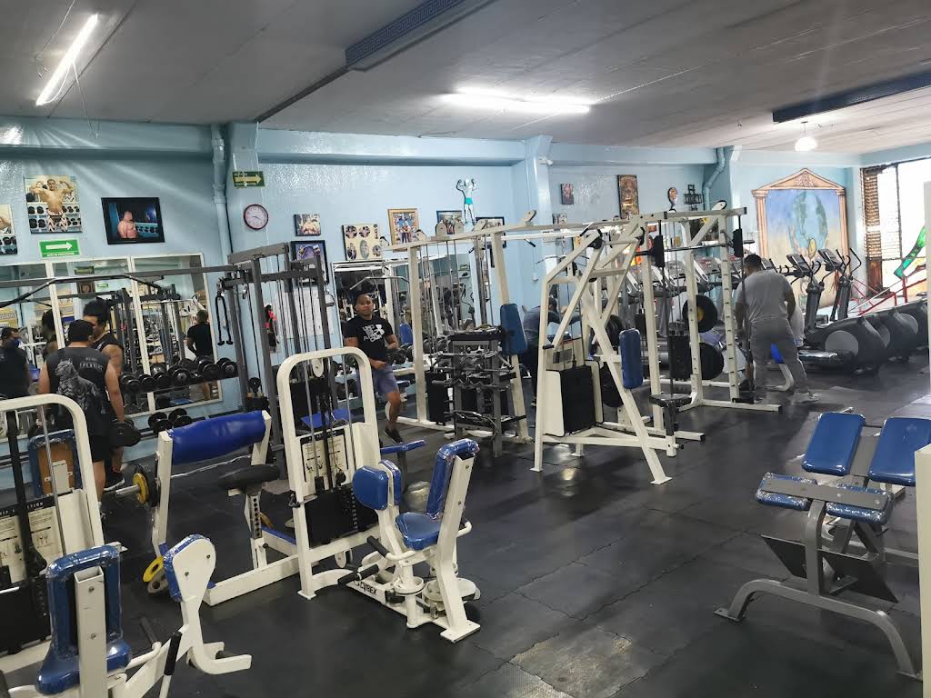 Hercules Moderno Gym