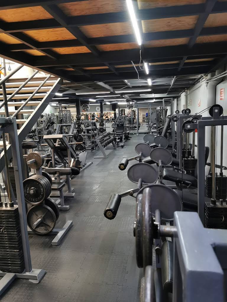 VIKING'S GYM Narvarte