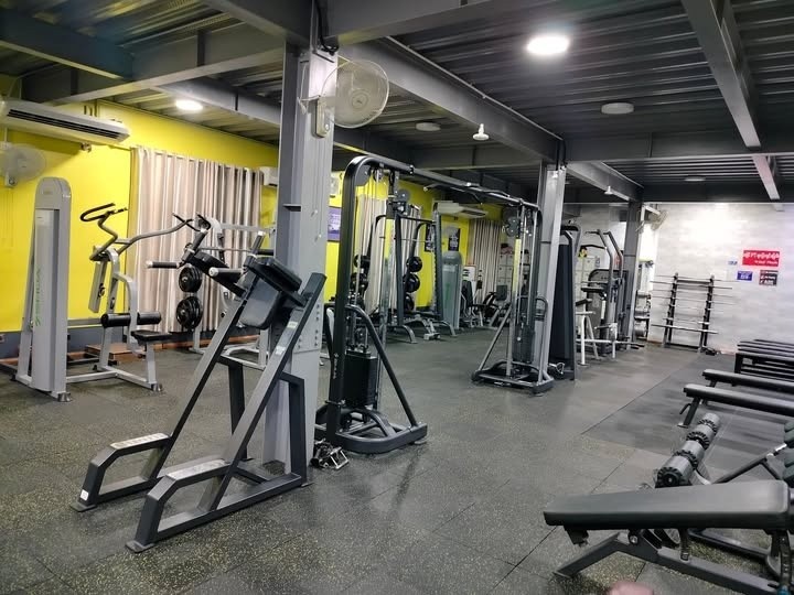 M-Gold Fitness