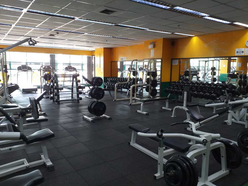 Shape Up World Class Fitness Gym