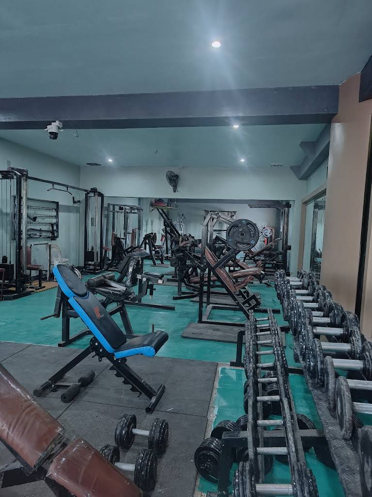 Wellness Fitness Gym