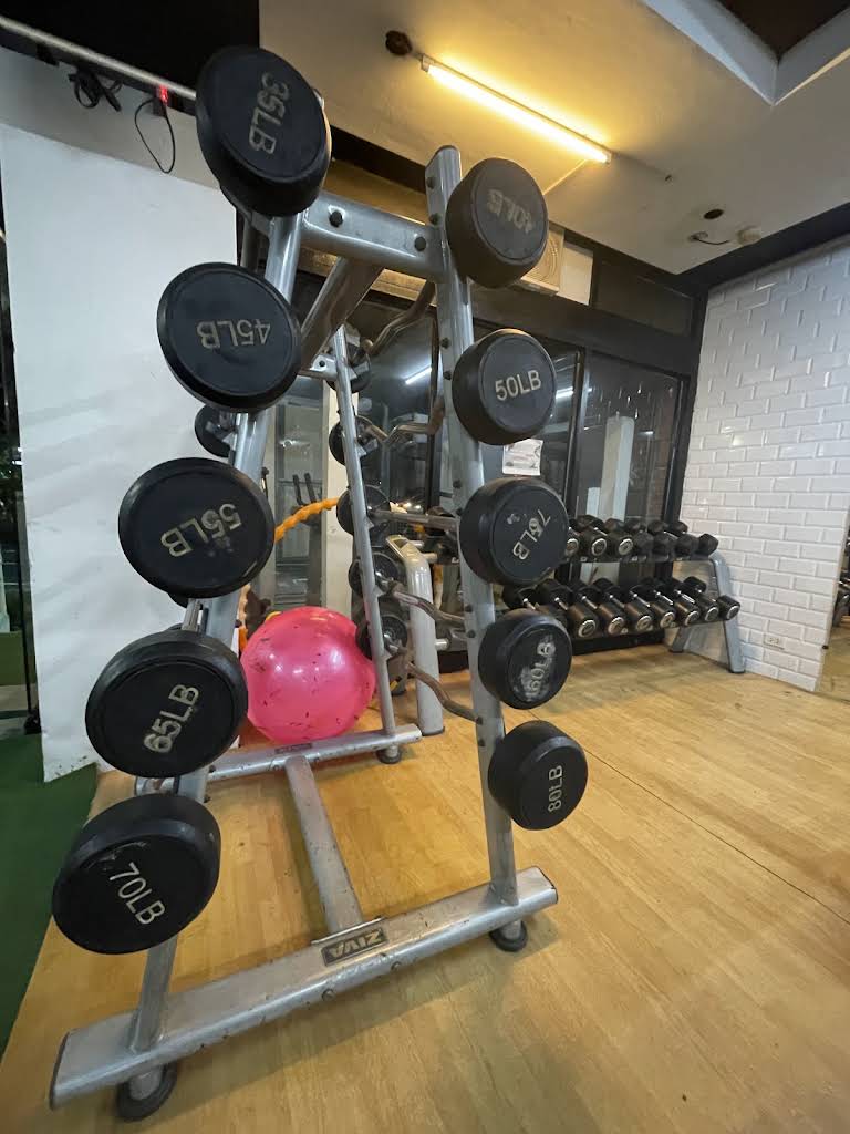 Wellness & Fitness Gym