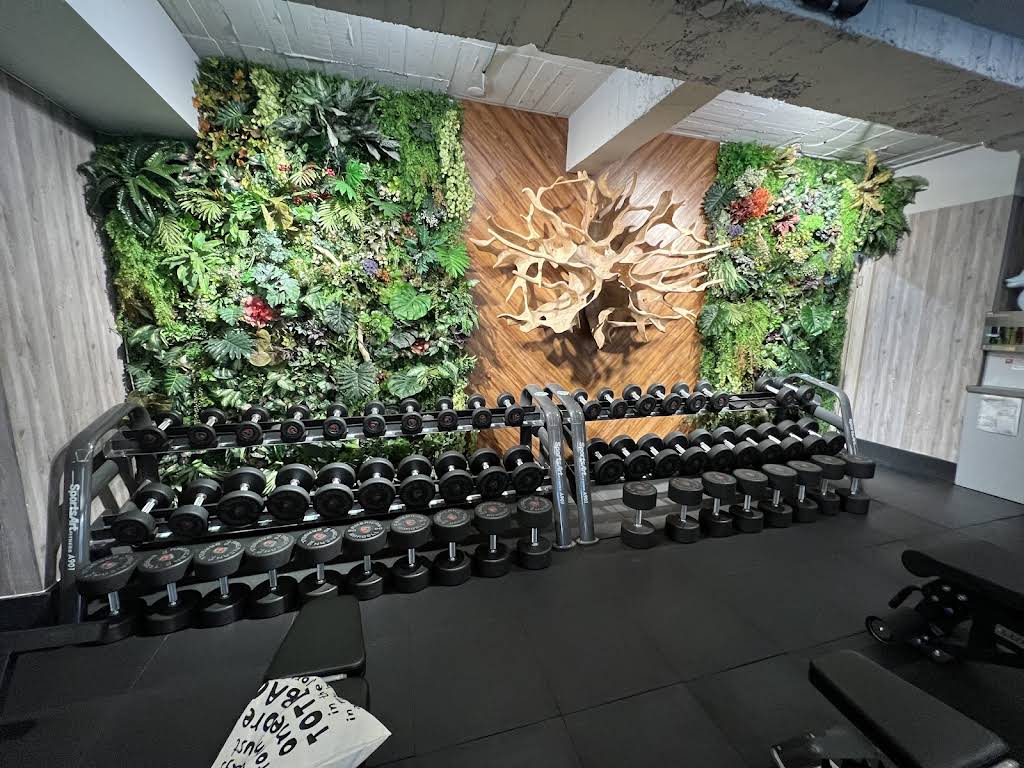 植健身 fit plant gym 中山店 Zhongshan
