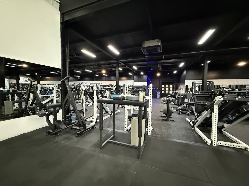 Legacy Muscle Universe