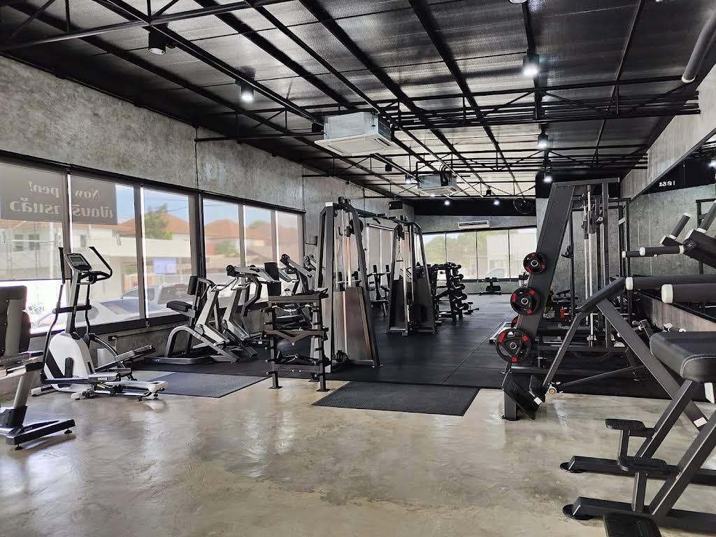 Momentum Gym