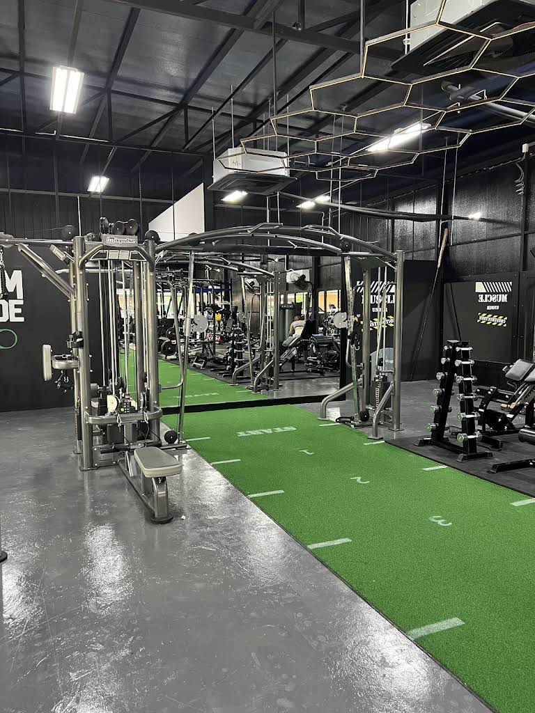 Playground Gym