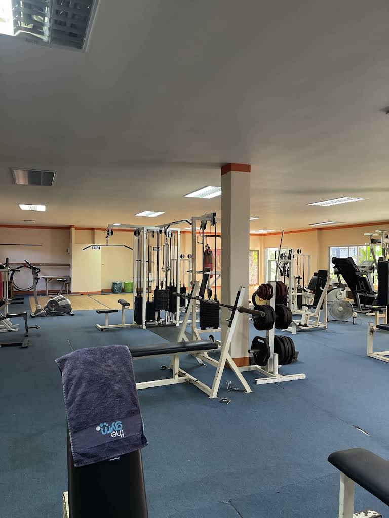 Phe Fitness