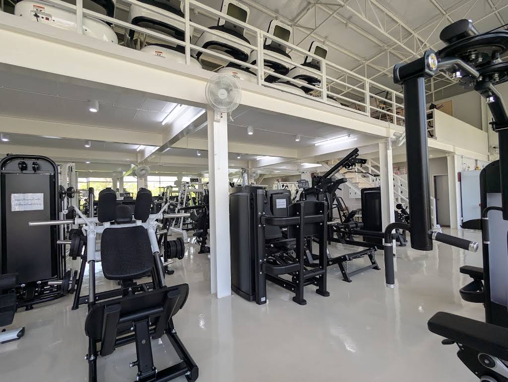 MeltedMuscle Fitness