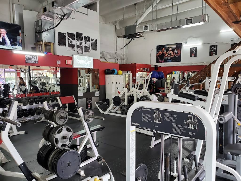 Gallo 8 Gym