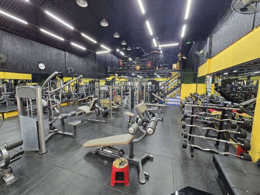 LINH GYM